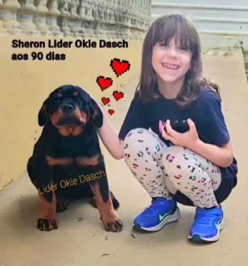 Família Lider Okie