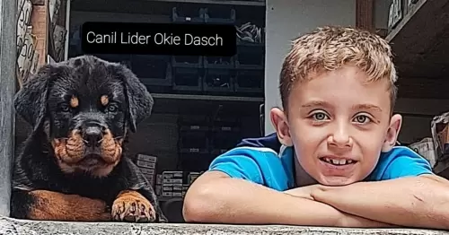 Família Lider Okie