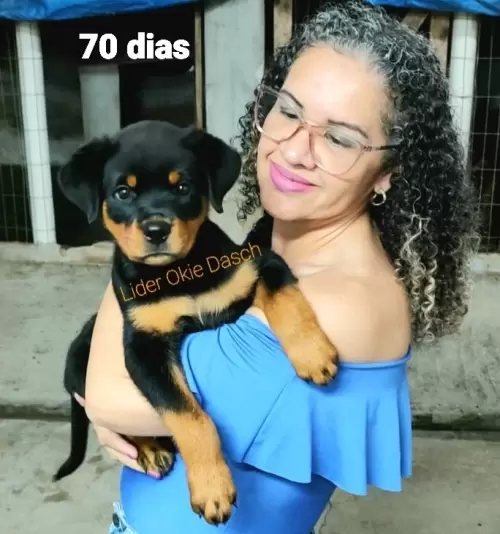 Clientes Felizes