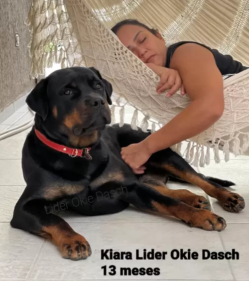 Esposa de Alexandre com a Kiara já crescida