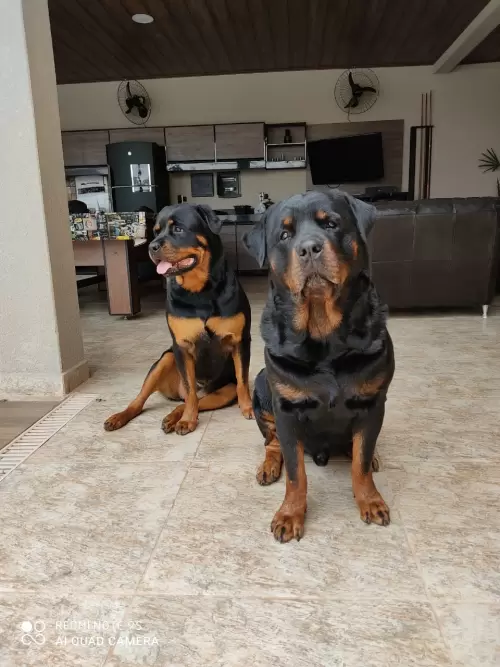 Dupla da Juliana