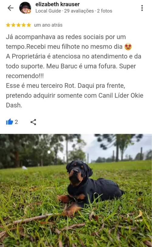 Depoimentos